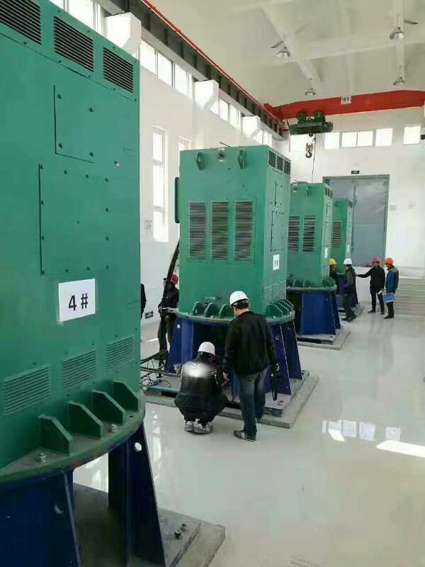 YKS6303-10某污水处理厂使用我厂的立式高压电机安装现场